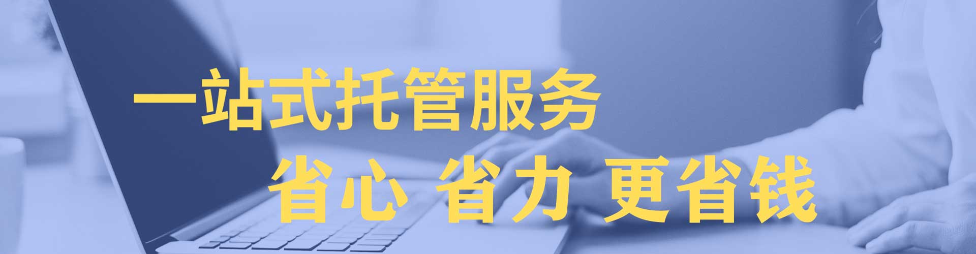 鱼峰竞价排名