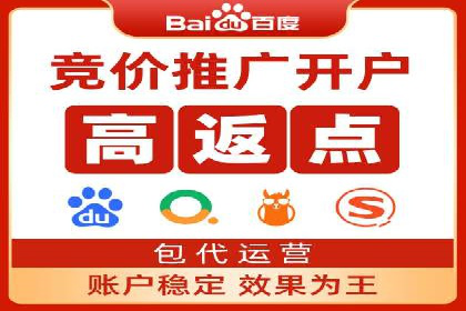 百度品牌专区推广的成效与案例